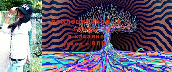 MDMA Premium VHQ Беломорск