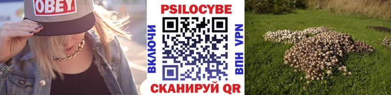 Псилоцибиновые грибы мицелий  как найти наркотики  Кыштым 